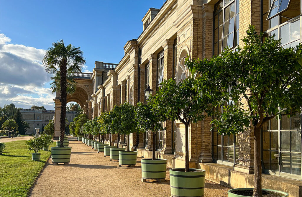 Palmen und Zitruspflanzen vor der Orangerie im Park Sanssouci - Potsdam